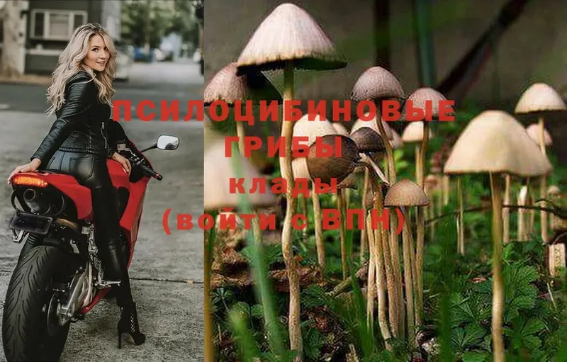 наркошоп  мега зеркало  Галлюциногенные грибы Magic Shrooms  Семикаракорск 