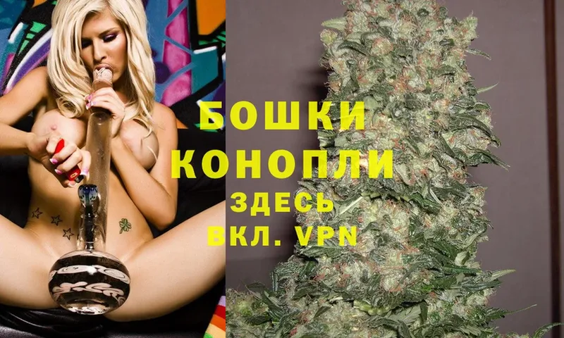 Конопля OG Kush  Семикаракорск 